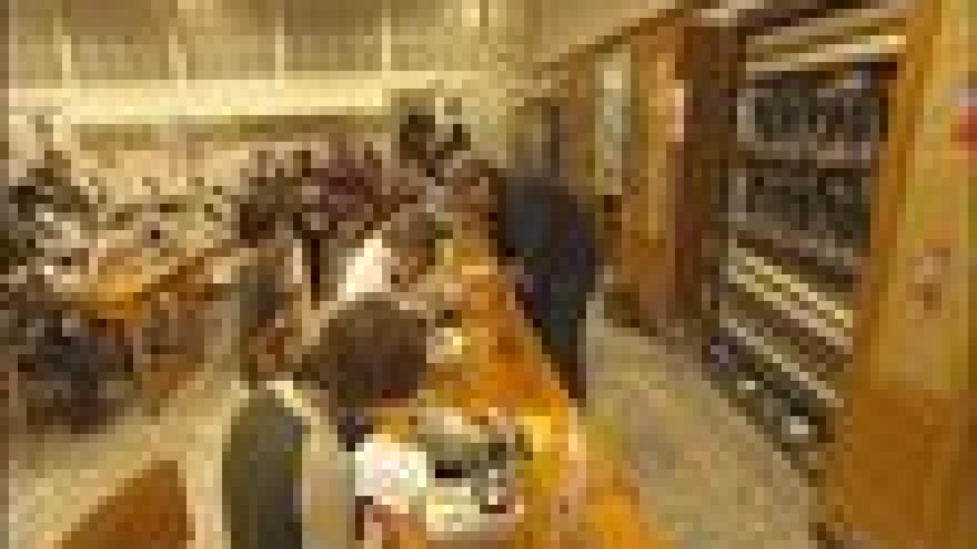 La Terre au Printemps des sciences